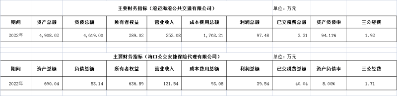 海口公交集團(tuán)及下屬各子公司2022年度信息公開(kāi)財(cái)務(wù)主要指標(biāo)明細(xì)2_副本.png